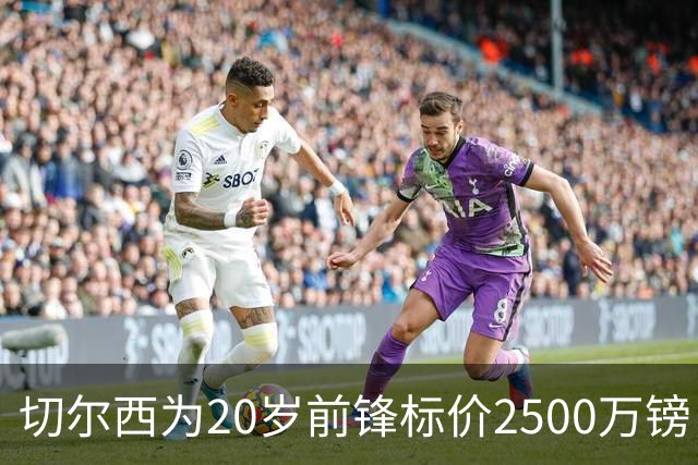 切尔西为20岁前锋标价2500万镑，引进时仅花600万