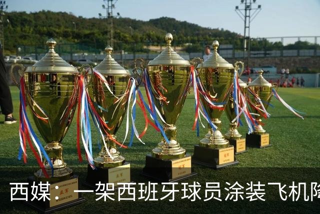 西媒：一架西班牙球员涂装飞机降落在阿根廷首都
